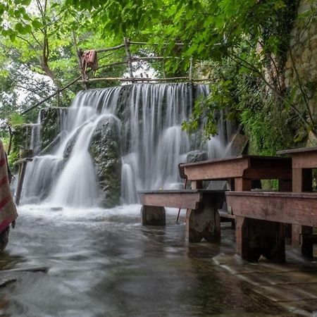 Titius Apartment Skradin Kültér fotó